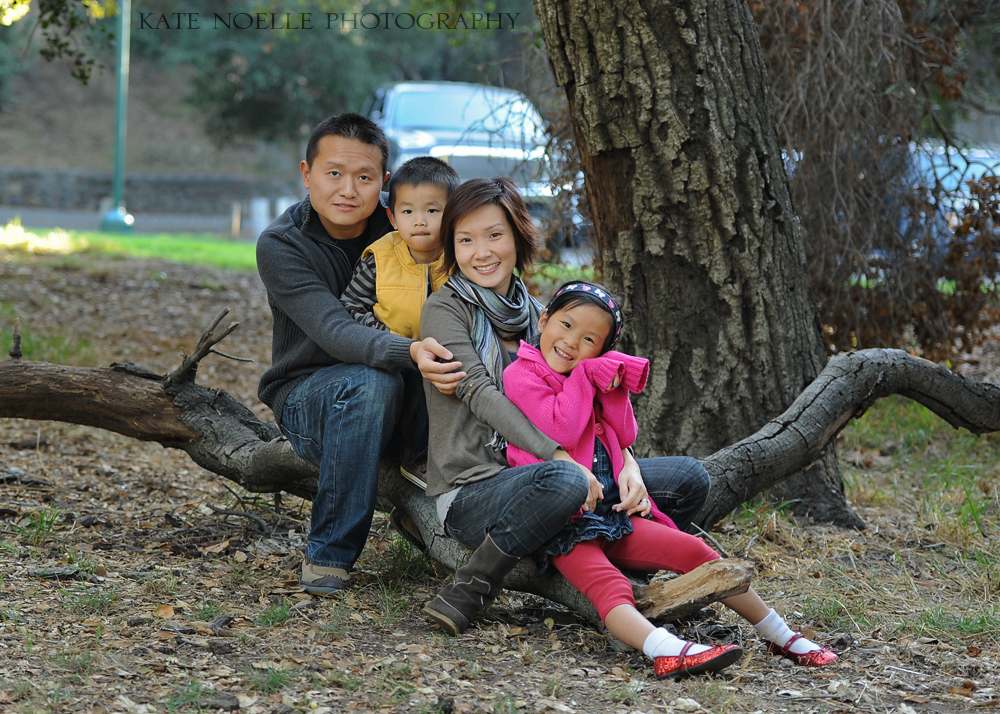 blog-wcheung-family-holiday-portraits-18
