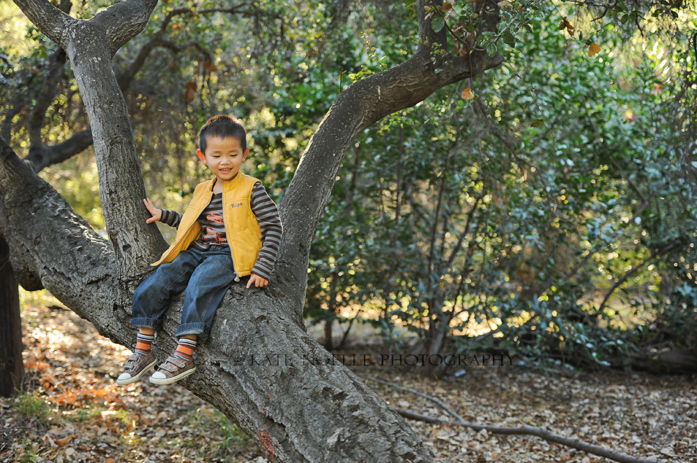 blog-wcheung-family-holiday-portraits-38