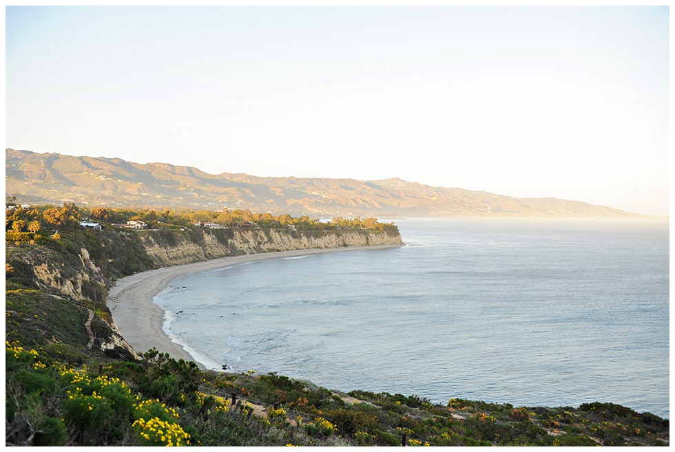 Point-Dume-Engagement-Photos-Brian-and-Brittany-16