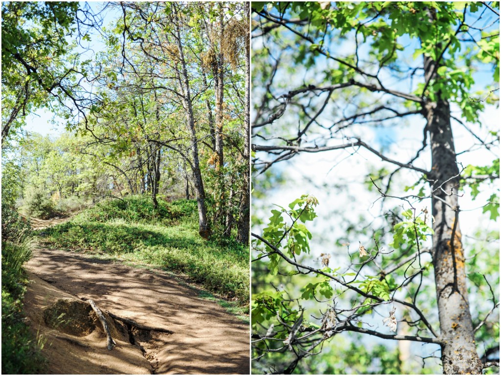 Mitchell and Hannah's Hume Lake Engagement - Kate Noelle Photography Blog