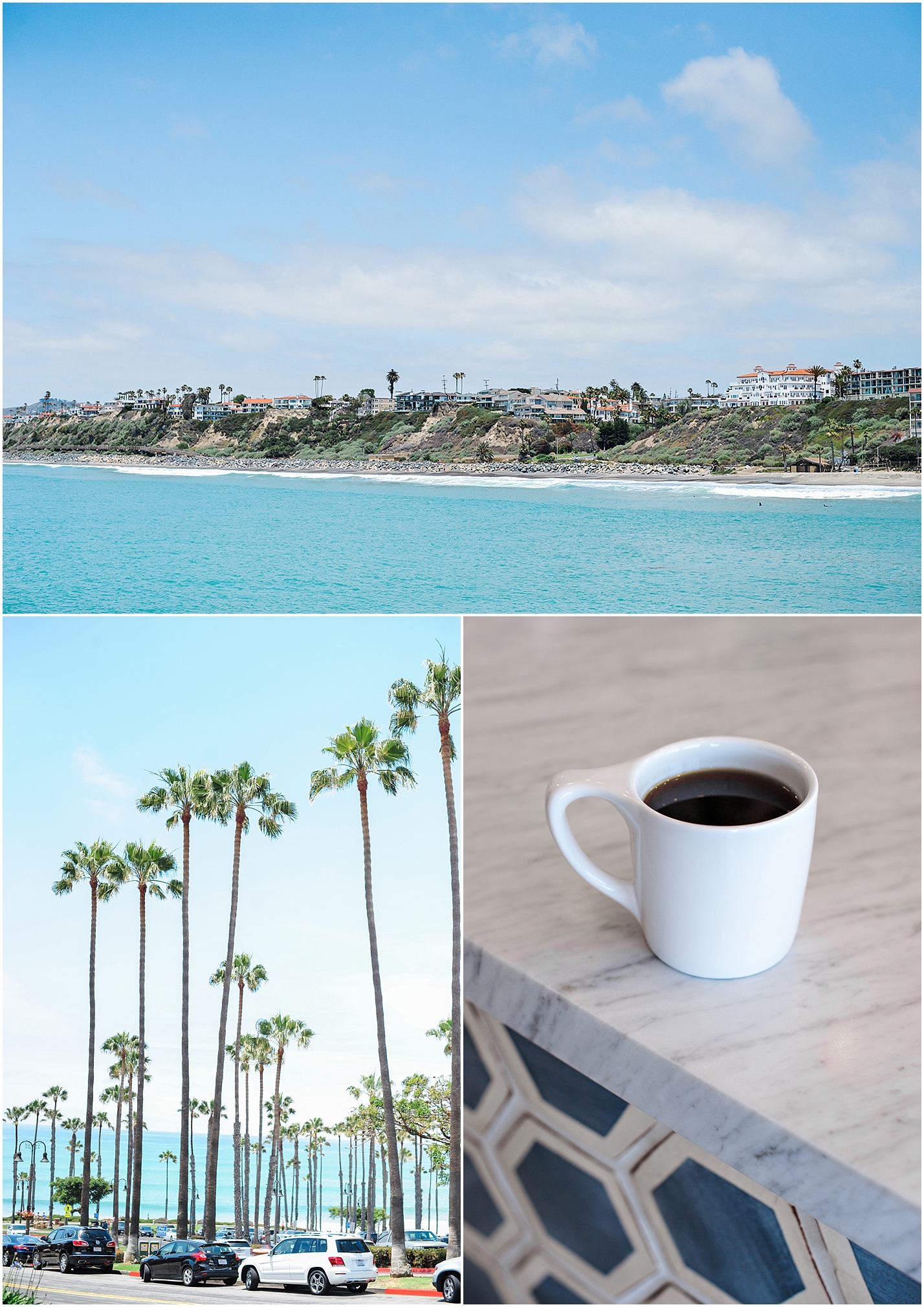 best_coffee_in_orange_county_southern_california_bear_coast_coffee-_0001